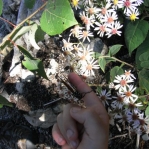 2007_09_08_16_06.JPG