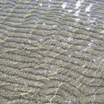 2007_09_08_16_42.JPG