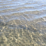 2007_09_08_16_43.JPG