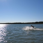 2007_09_08_16_57-003.JPG