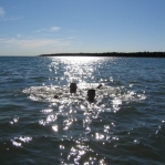 2007_09_08_17_01.JPG