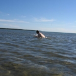 2007_09_08_17_11-003.JPG