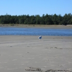 2007_09_08_17_41.JPG