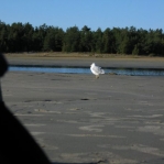 2007_09_08_18_28.JPG