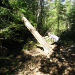 2007_09_09_11_15.JPG