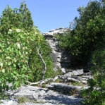2007_09_09_12_55-001.JPG