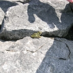 2007_09_09_13_15-004.JPG