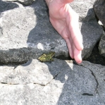 2007_09_09_13_15-005.JPG