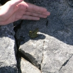 2007_09_09_13_16-003.JPG