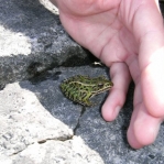 2007_09_09_13_16-005.JPG