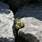 2007_09_09_13_16.JPG