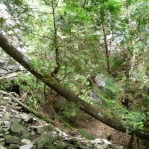2007_09_09_13_36-001.JPG