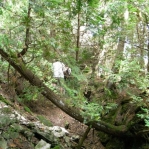 2007_09_09_13_36.JPG