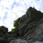 2007_09_09_13_38-001.JPG