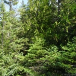 2007_09_09_14_00-001.JPG