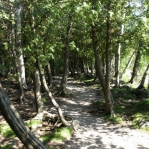 2007_09_09_14_58.JPG