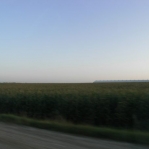 2007_09_09_19_22.JPG