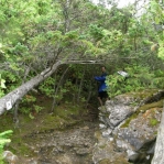 2007_09_07_16_14-005.JPG