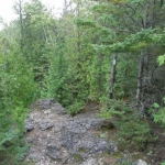 2007_09_07_16_21-001.JPG