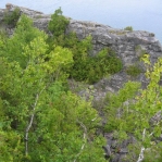 2007_09_07_16_21-002.JPG