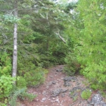 2007_09_07_16_22-005.JPG