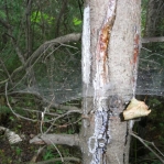 2007_09_07_17_25.JPG