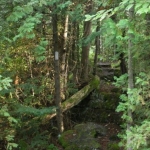 2007_09_07_17_31.JPG