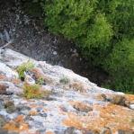 2007_09_07_17_42.JPG