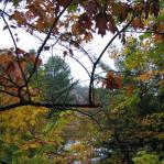 2007-10-06-17-02-H.JPG