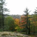 2007-10-06-17-20-K.JPG