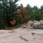 2007-10-06-18-12-K.JPG