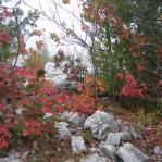 2007-10-07-13-31-H.JPG