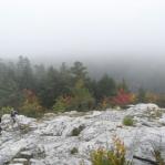 2007-10-07-13-33-D.JPG