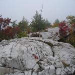 2007-10-07-13-33-H.JPG