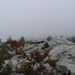 2007-10-07-13-34-D-001.JPG