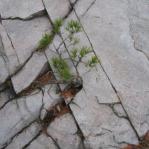 2007-10-07-13-35-H-001.JPG