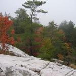 2007-10-07-13-35-H.JPG