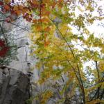 2007-10-07-13-54-H.JPG