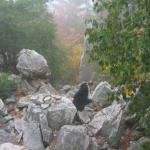 2007-10-07-14-01-H-001.JPG