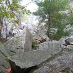 2007-10-07-14-39-H.JPG