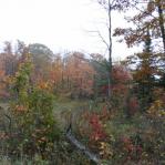 2007-10-07-16-04-D.JPG