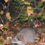 2007-10-07-22-46-IngridElise-003.JPG