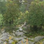 2007-10-08-13-04-K-001.JPG