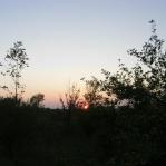 2007-10-08-18-43-K.JPG