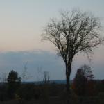 2007-10-08-18-47-IngridElise-002.JPG