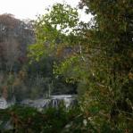 2007-10-08-19-06-K-001.JPG