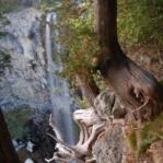 2007-10-08-19-07-IngridElise-001.JPG