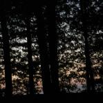 2007-10-08-19-10-K-001.JPG