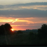 RIMG0914.JPG