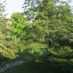 RIMG0976.JPG